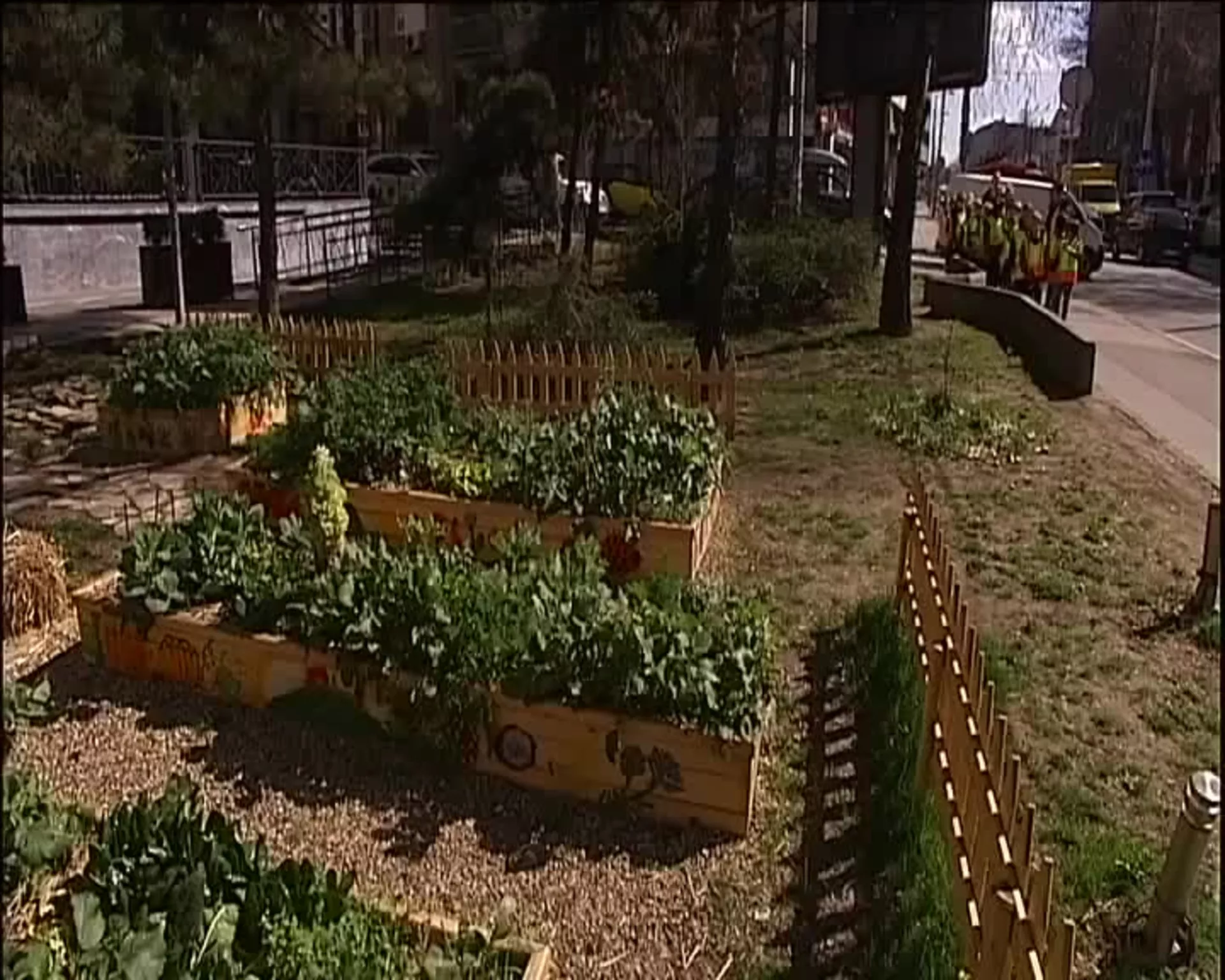 Salata sa Vračara