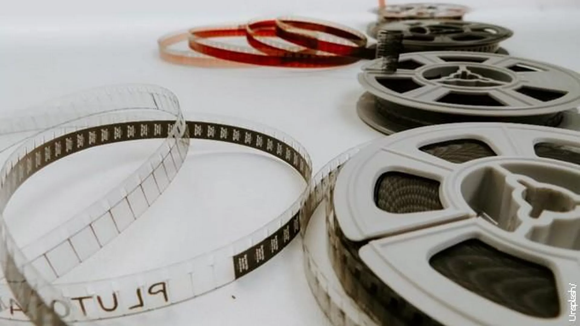 Filmorama - Srpski film u 2024. godini