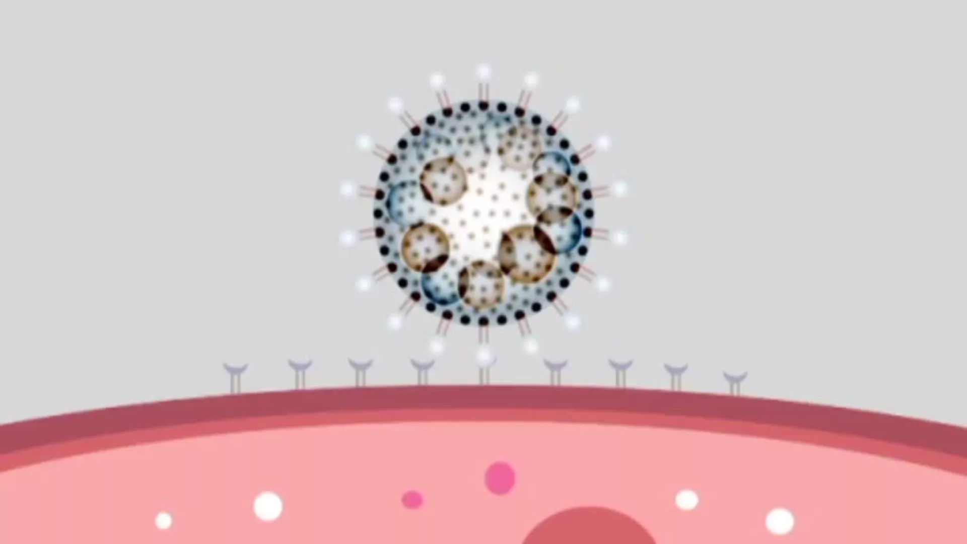 Nauka 50 – Virus