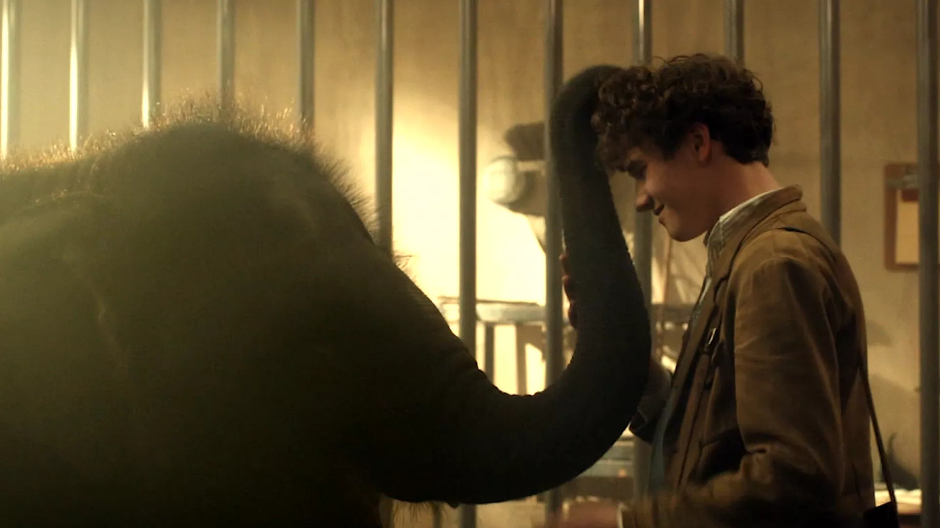 Zoološki vrt (2017)