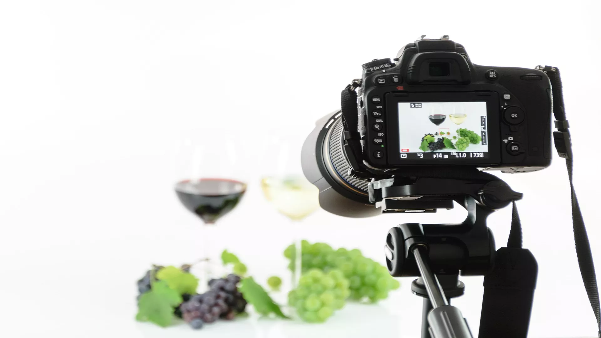 Pravac 202 – Beogradski mesec fotografije