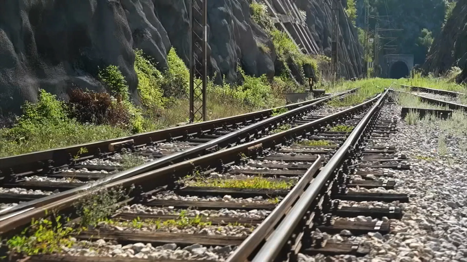 Rodoslavci: Pruga jedne mladosti