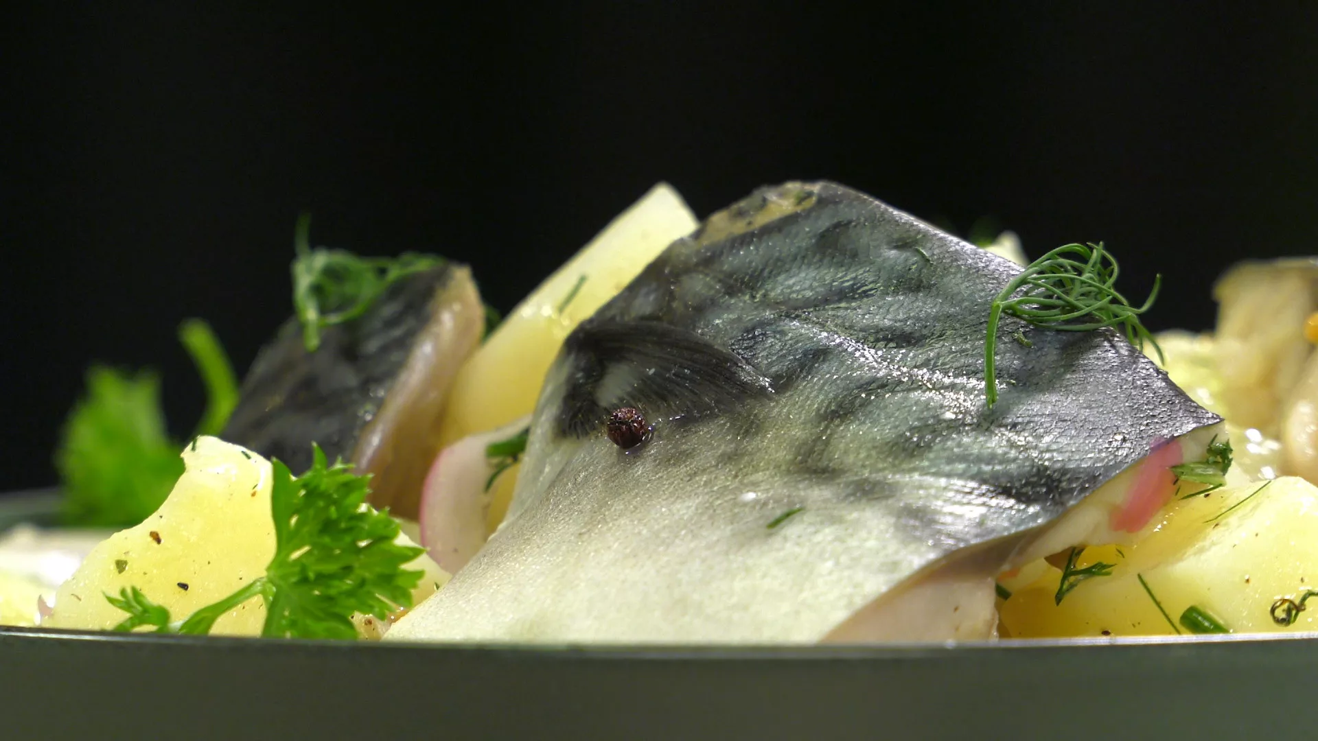 Gastronomad: Skandinavska skuša