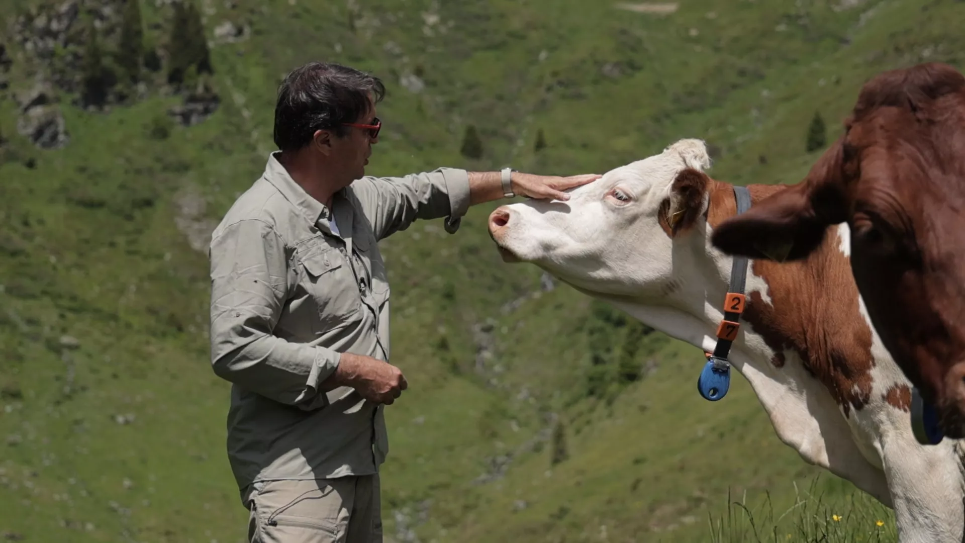 Sasvim prirodno: Zelene doline, Bele planine, 4. deo