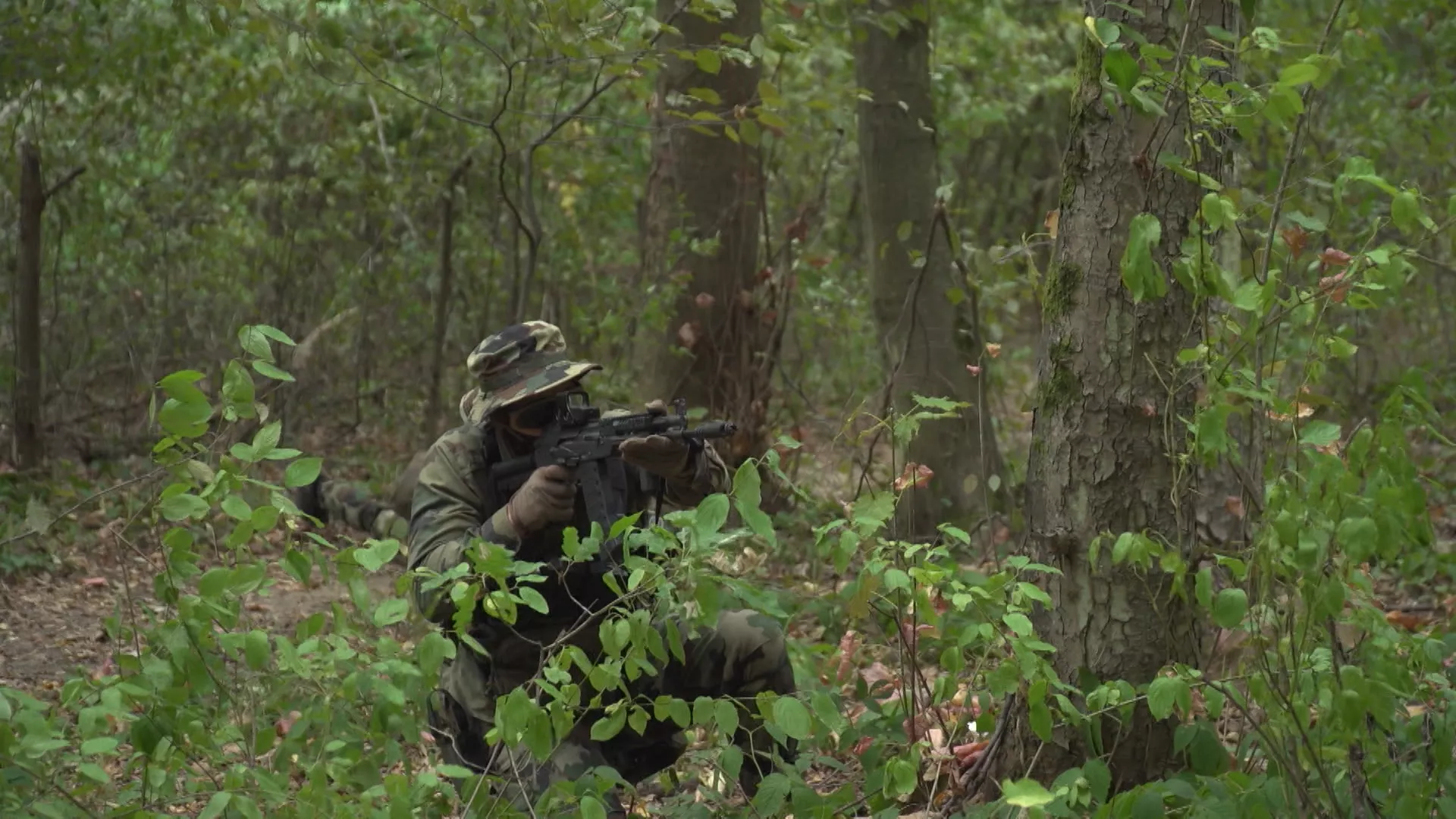 Dozvolite...:  77 godina Zastava filma