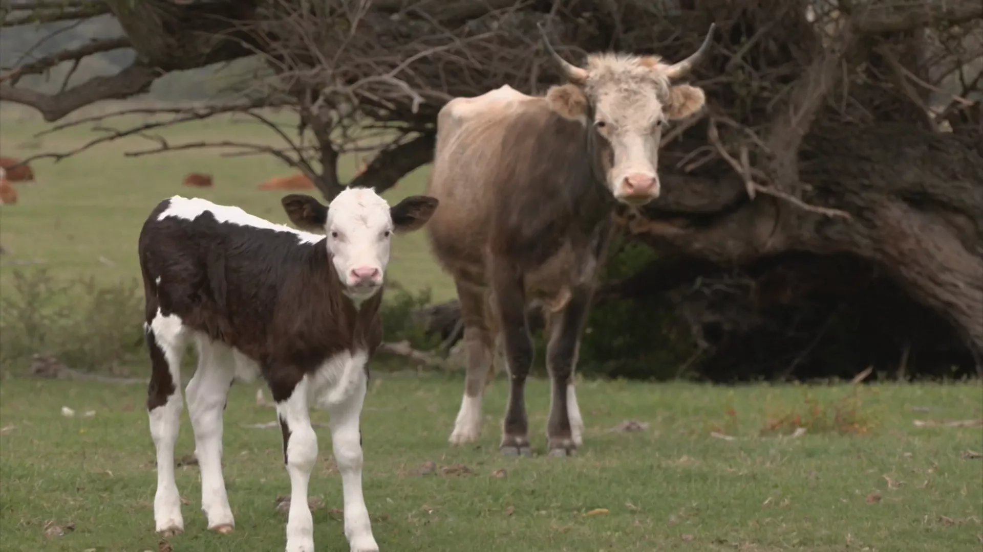 Znanje imanje: Sve najbolje