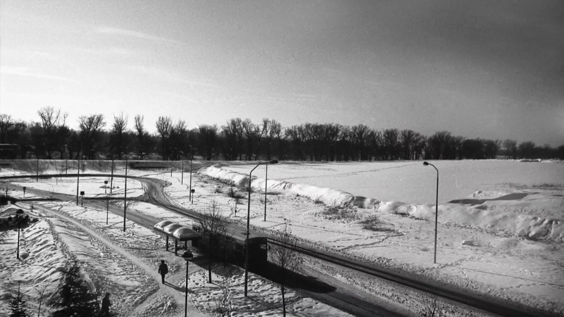 Šarenica: Čarolija od šipurka