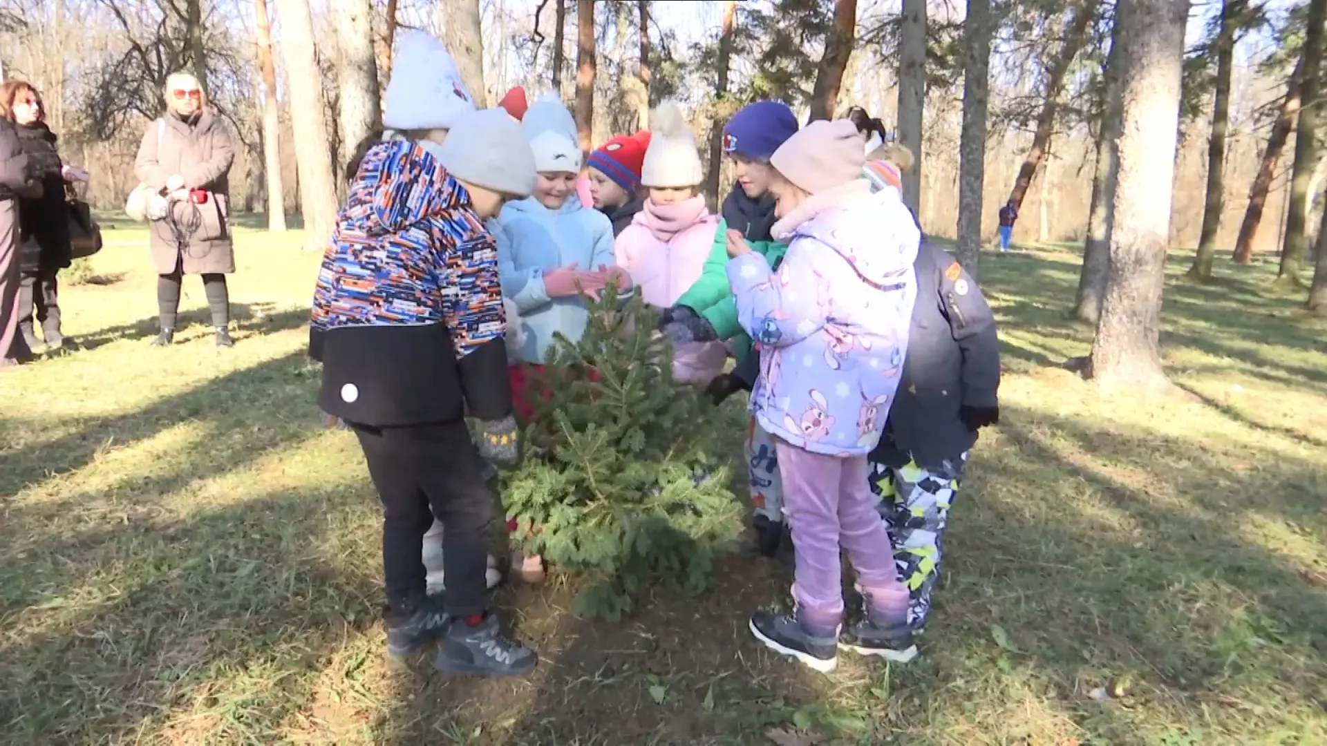 Park Novogodišnjih jelki