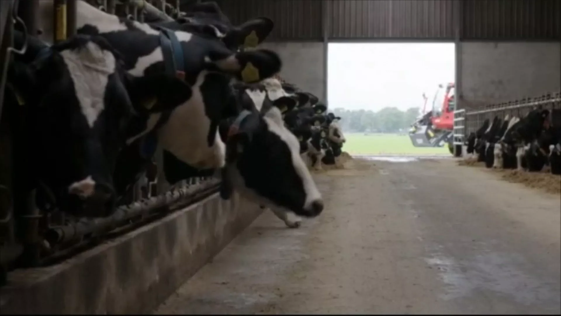 Obrazovni intermeco: Selo i grad