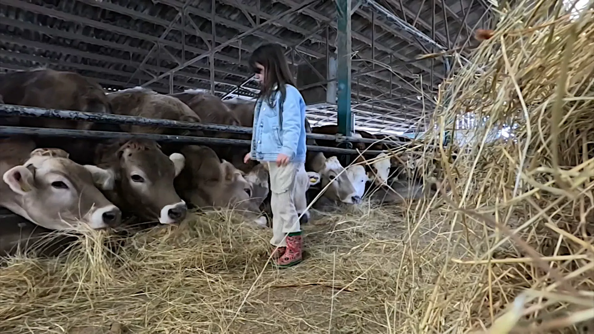 Znanje imanje: Žensko lice agrobiznisa