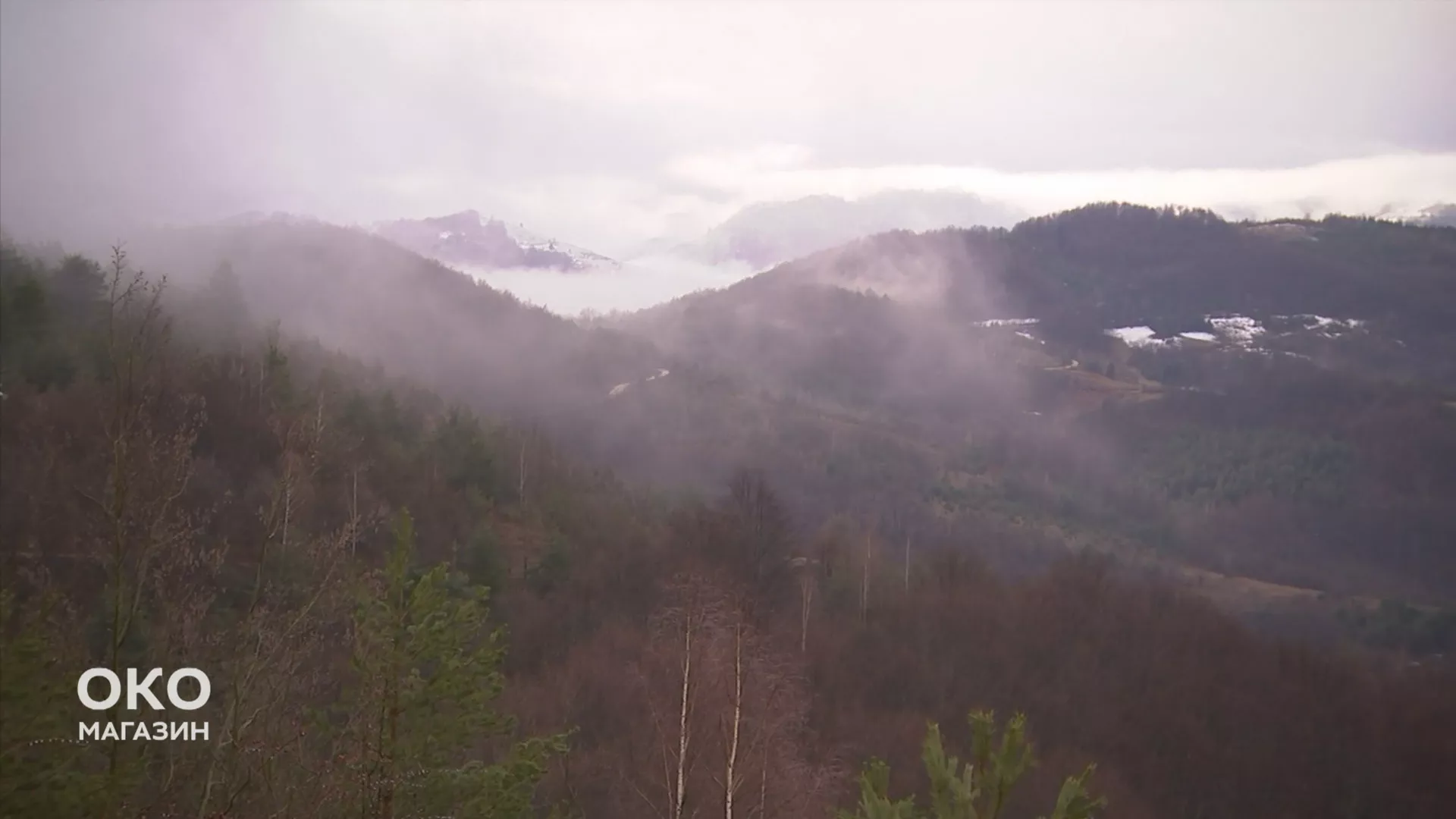 Oko magazin: Đaci sa Golije, gde je divlja trava tu je bistra glava