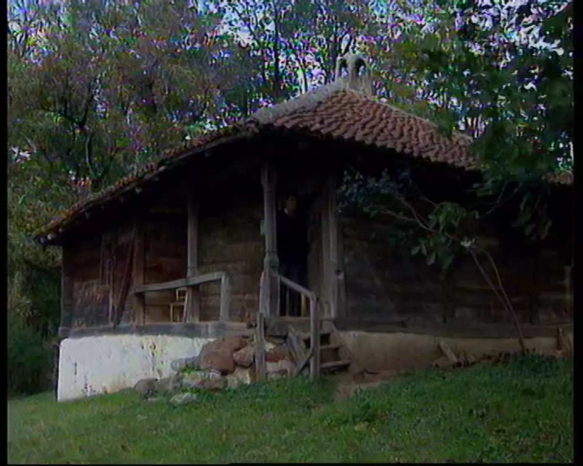 Pesničke vedrine: Milisav Milenković, rodna kuća