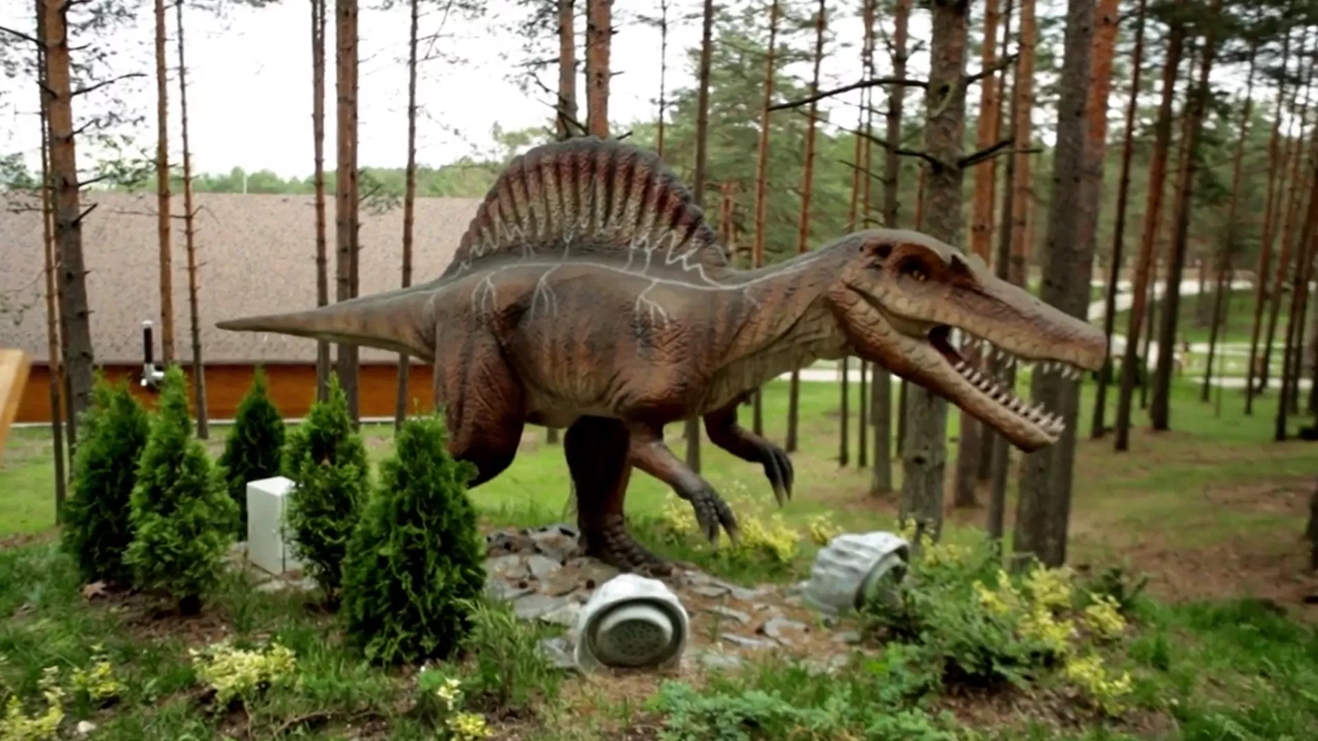 Lepša strana Srbije – Zlatibor