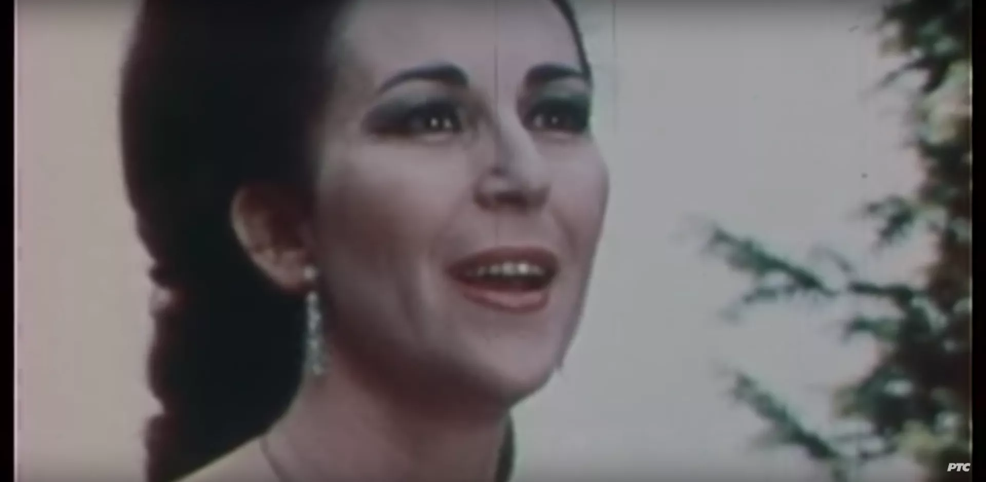 Kon anima – Radmila Bakočević