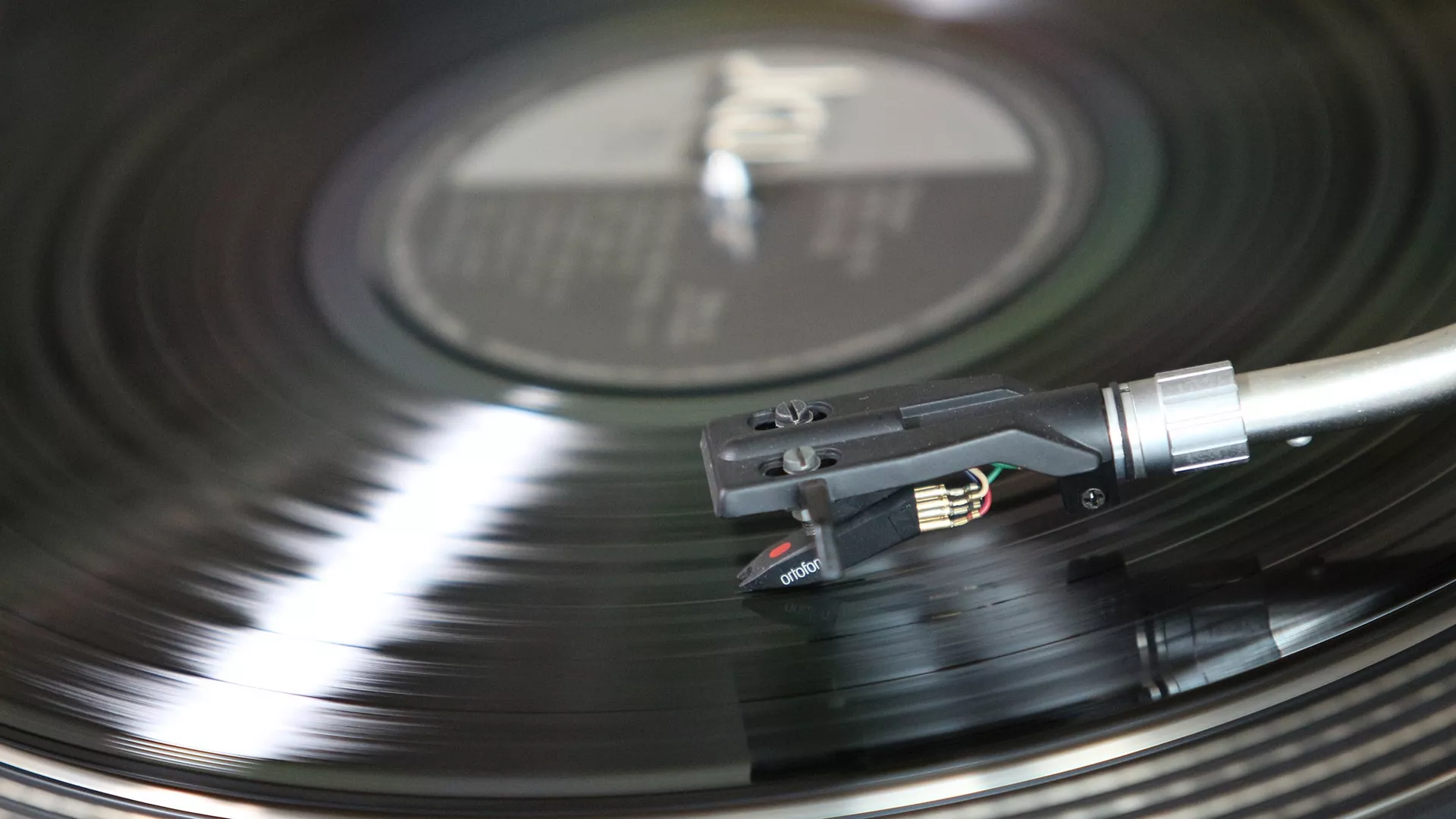 Iglana vinilu –  Litl Toni