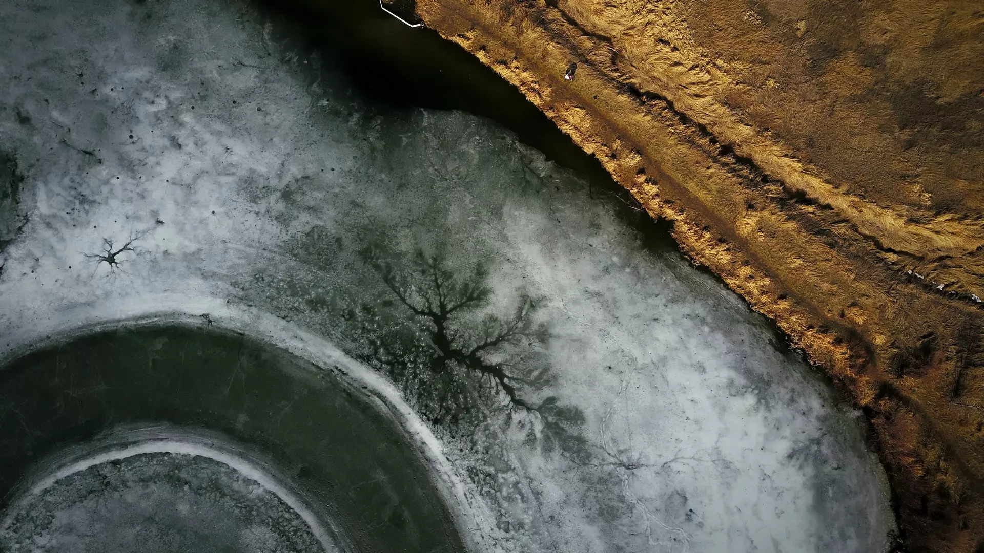 Solaris – Zemljina podzemna biosfera