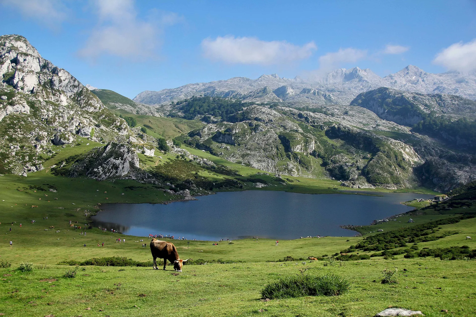 Put svile – Asturija