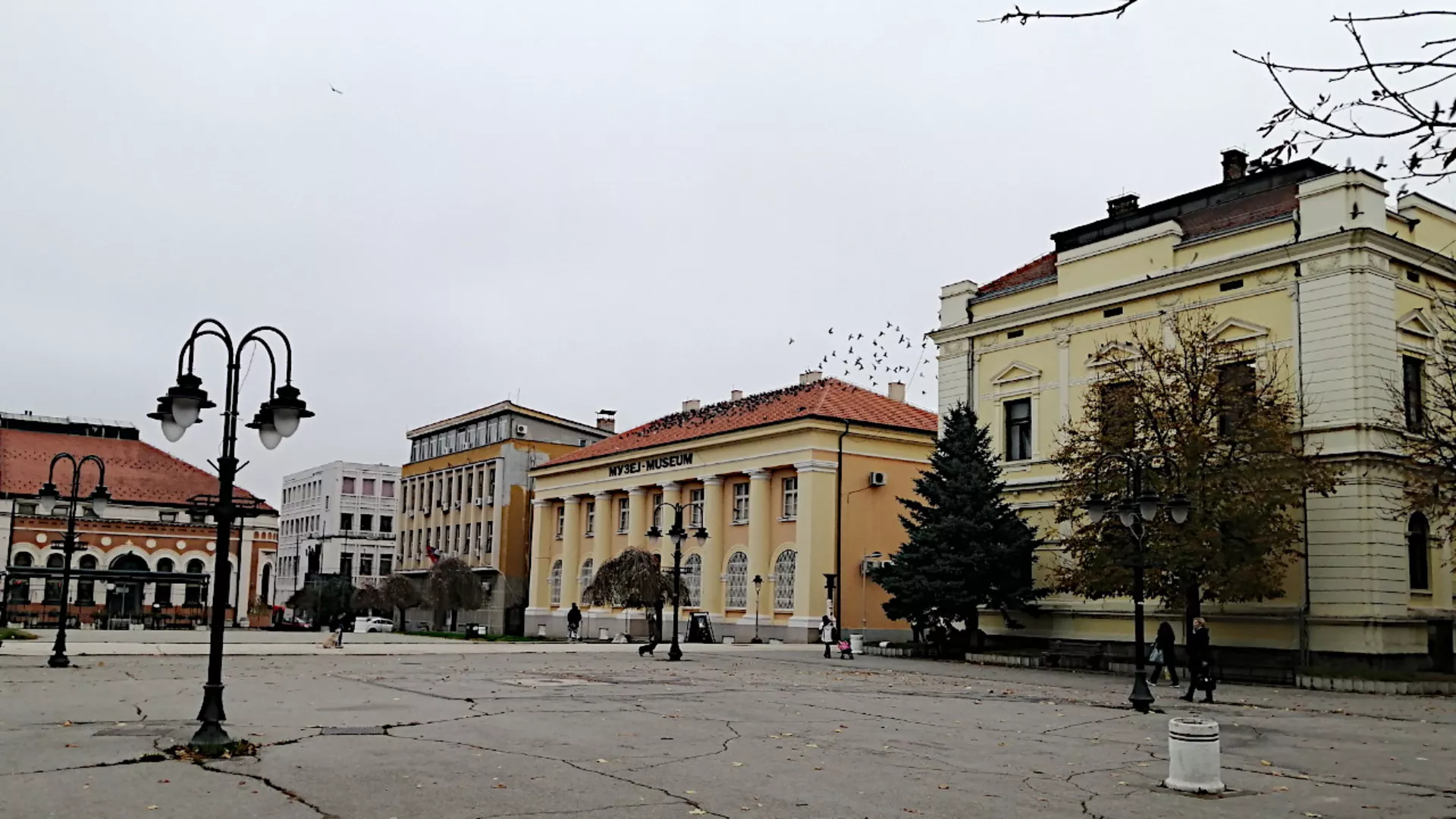 Зајечар