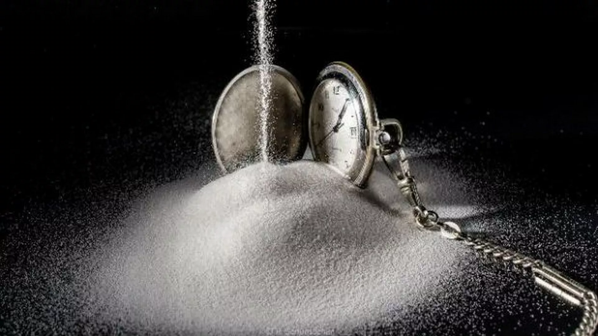 Културни кругови - Међународни сусрет писаца