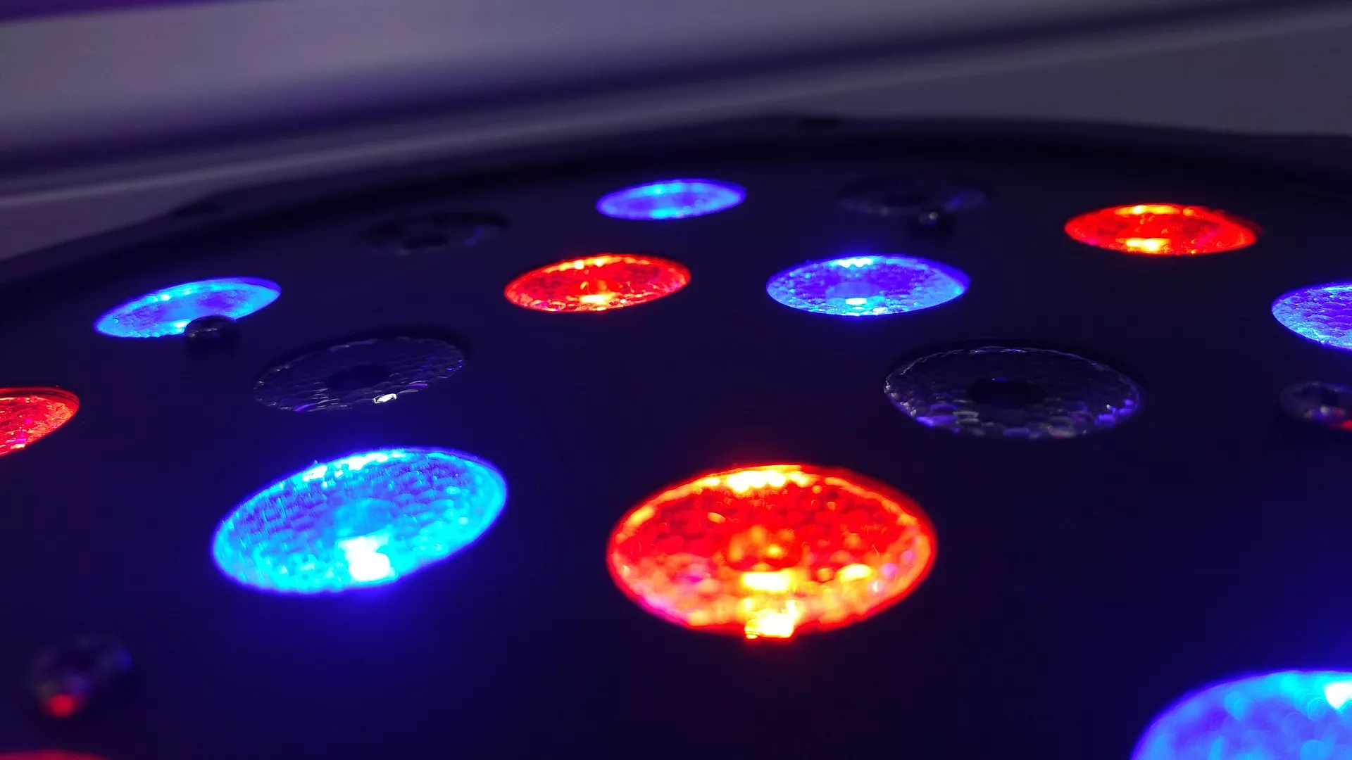 Discoteca+  25. 9. 2019.