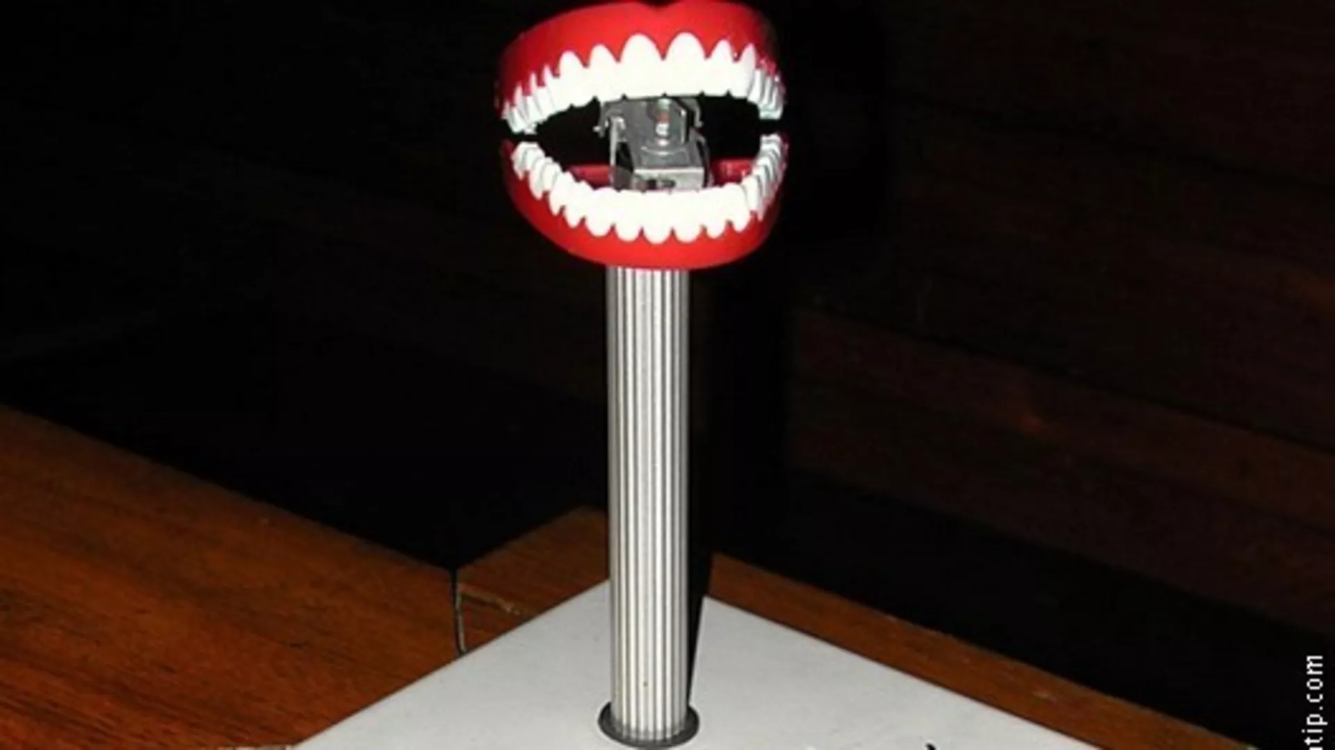 Правац 202 – Иг Нобел