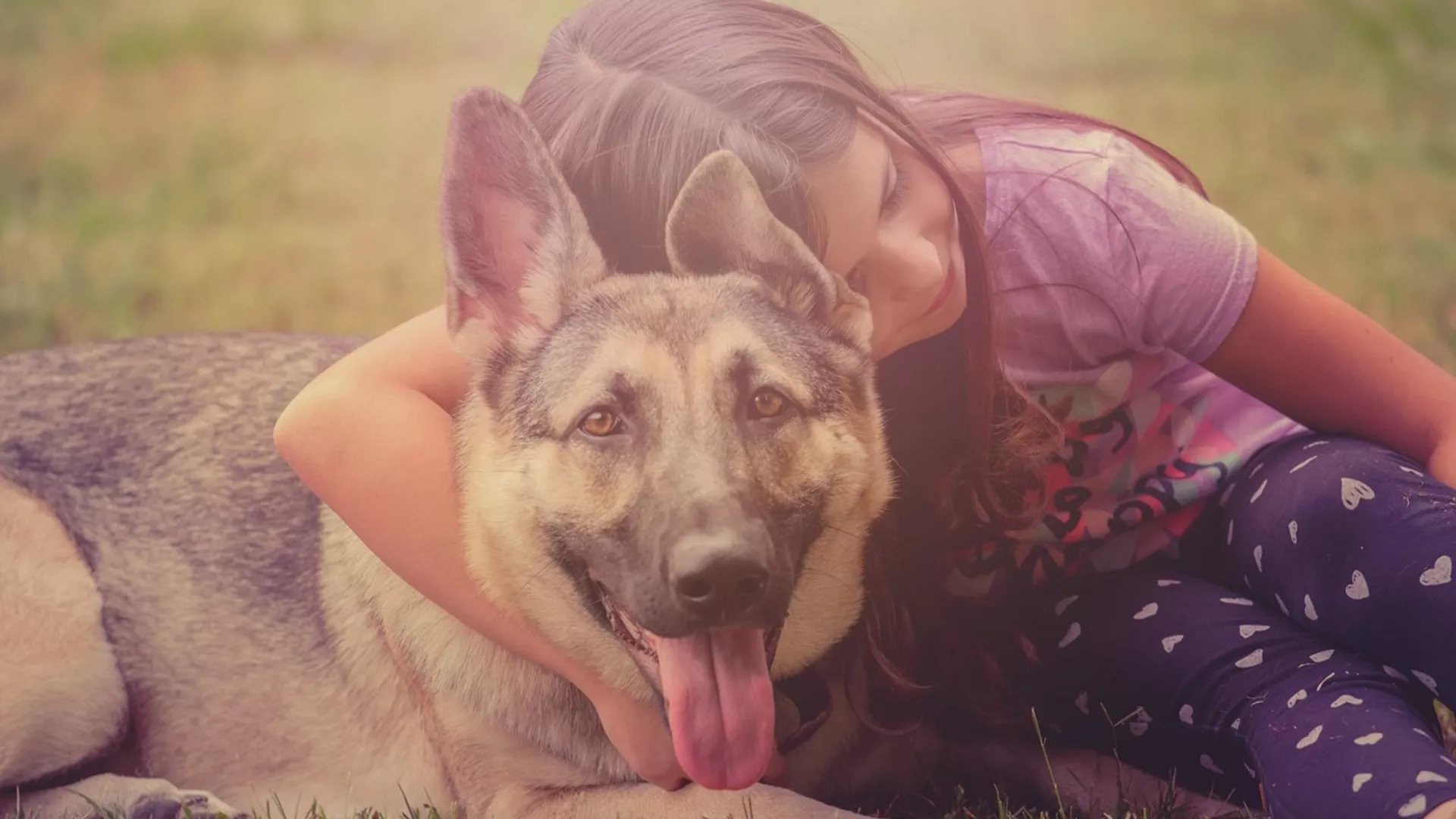 Обрати пажњу – Брига о животињама