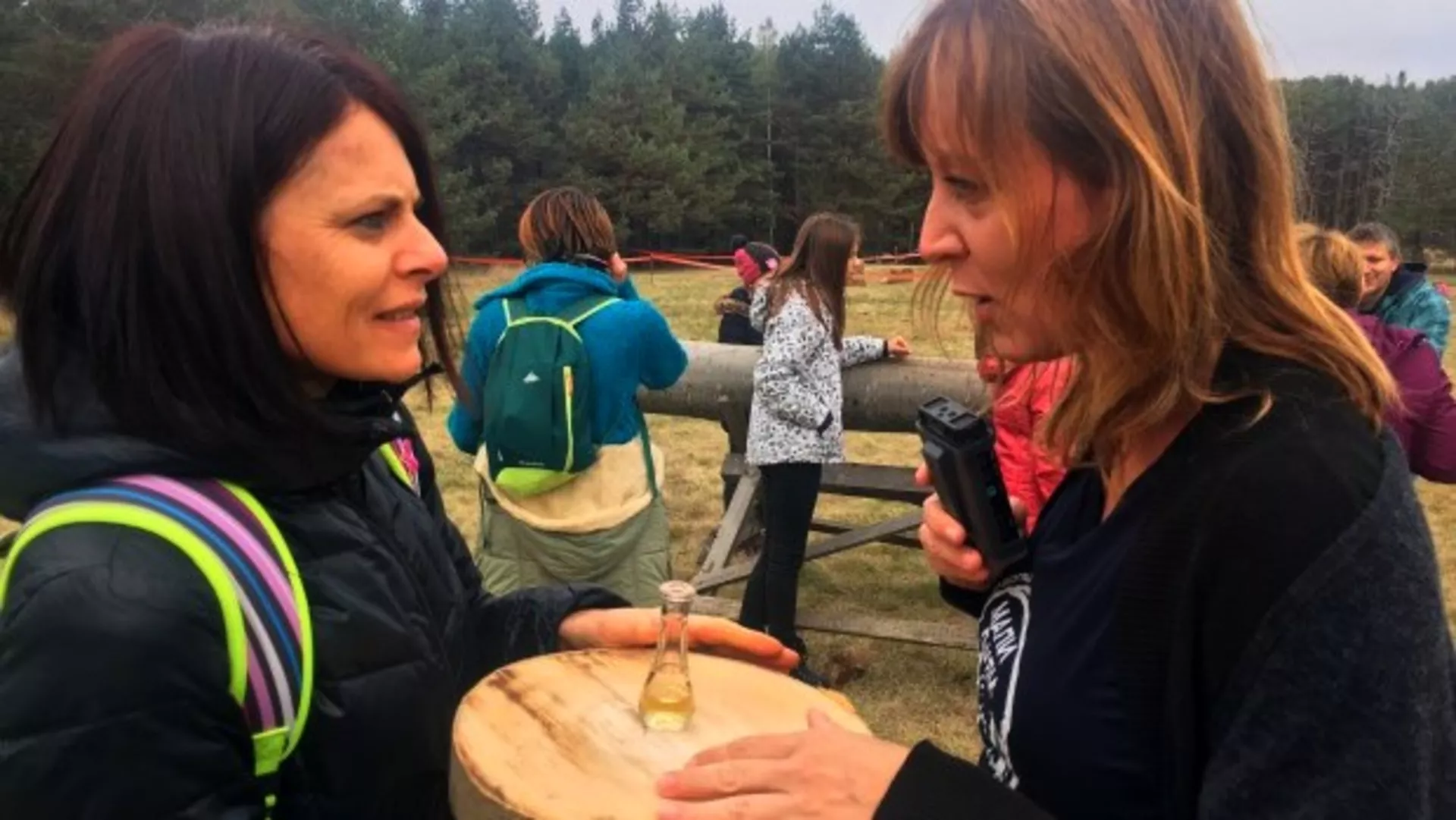 Правац 202 – Речник гљивара и шумара