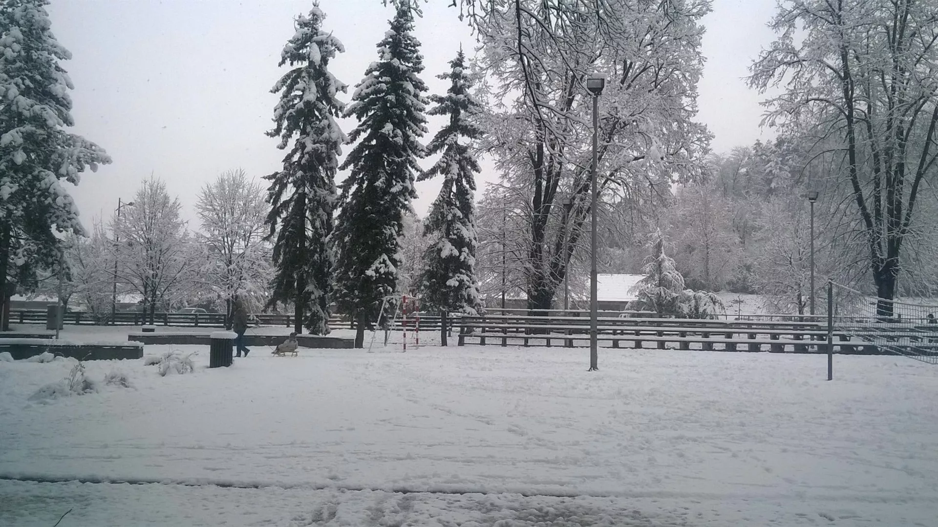 Српски на српском - Приоритети