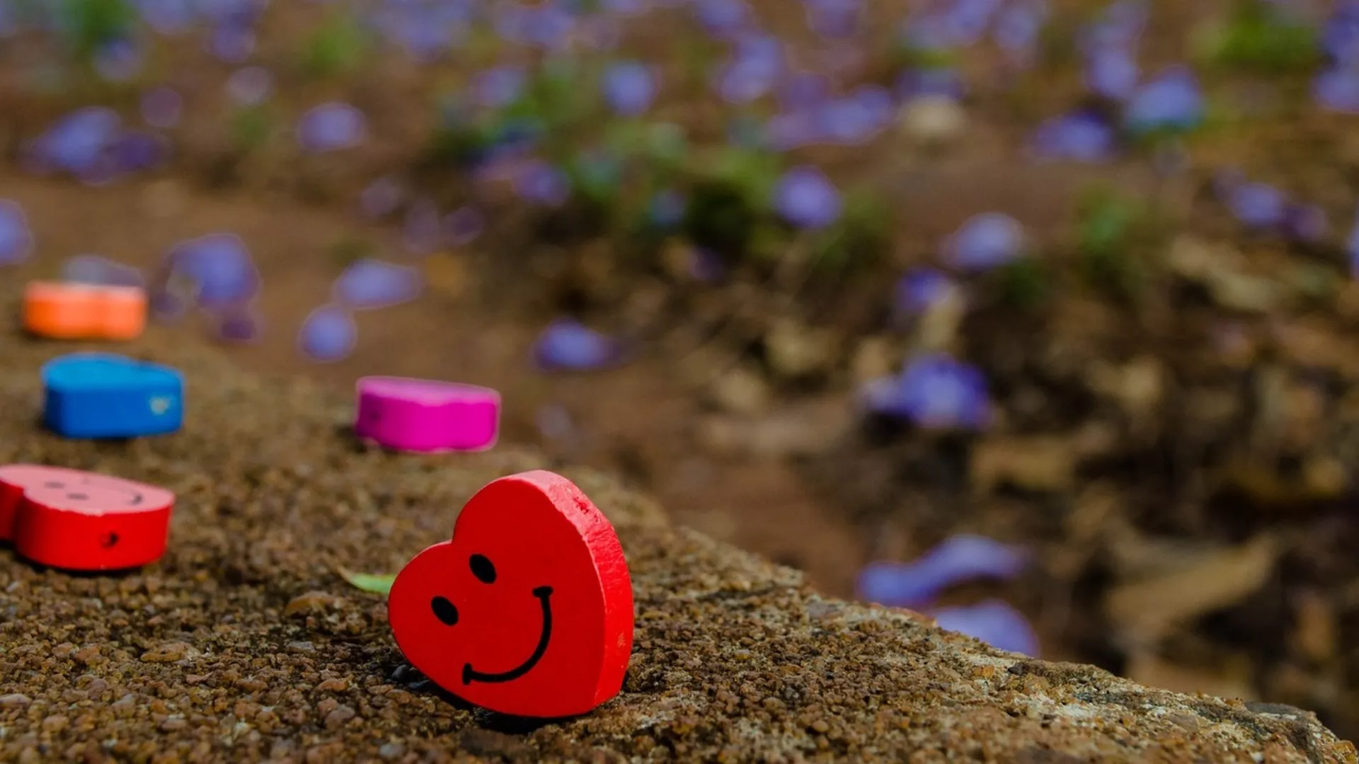 Правац 202 – Љубазност