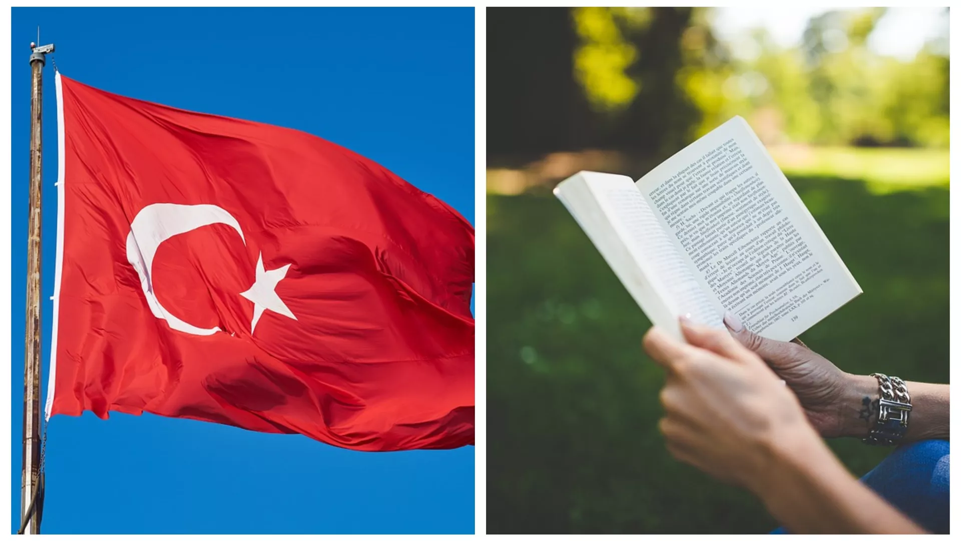 Правац 202 – Турцизми