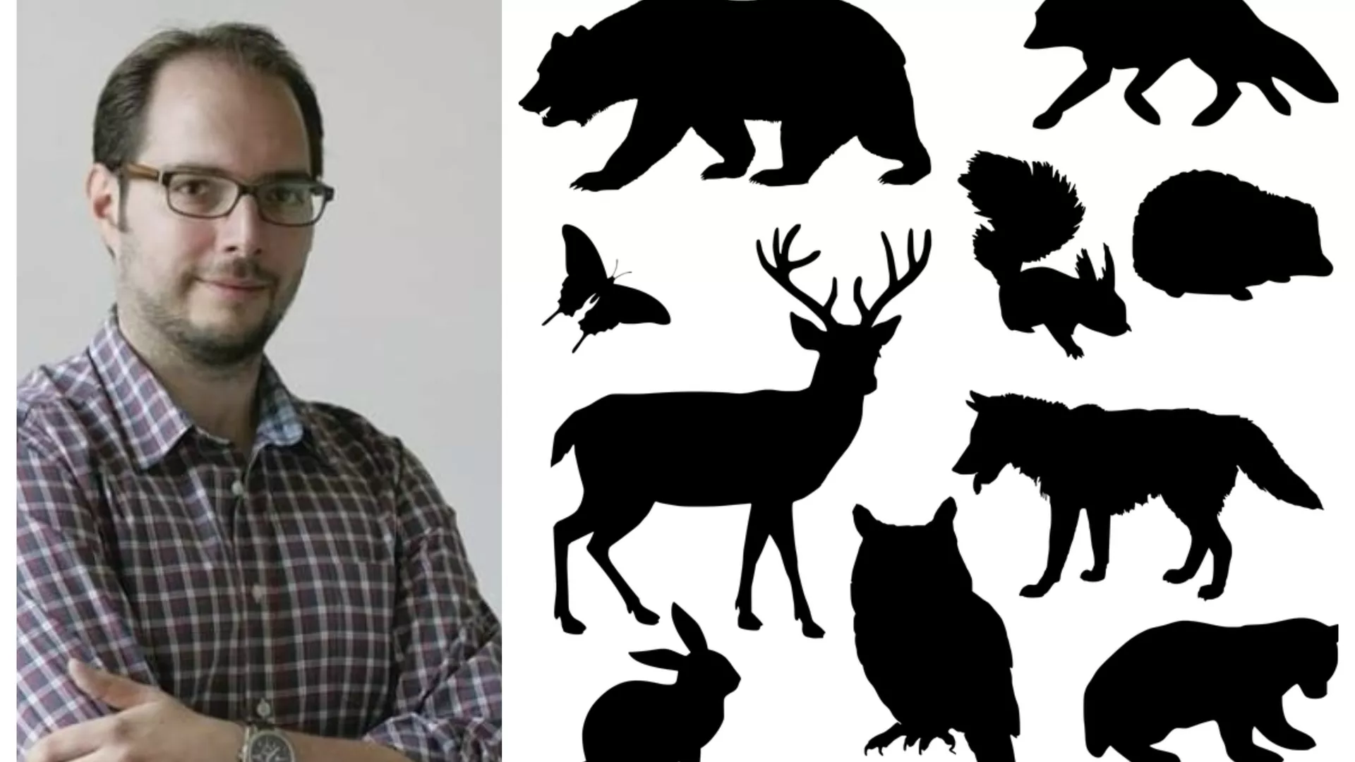 Правац 202 – Вреба ли паук бубу на зебри?