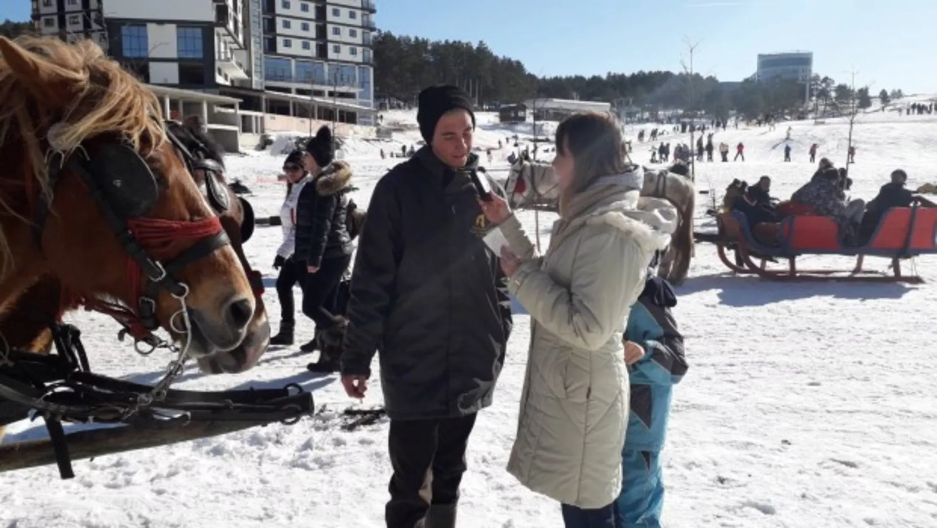 Правац 202 – Говор Златибора