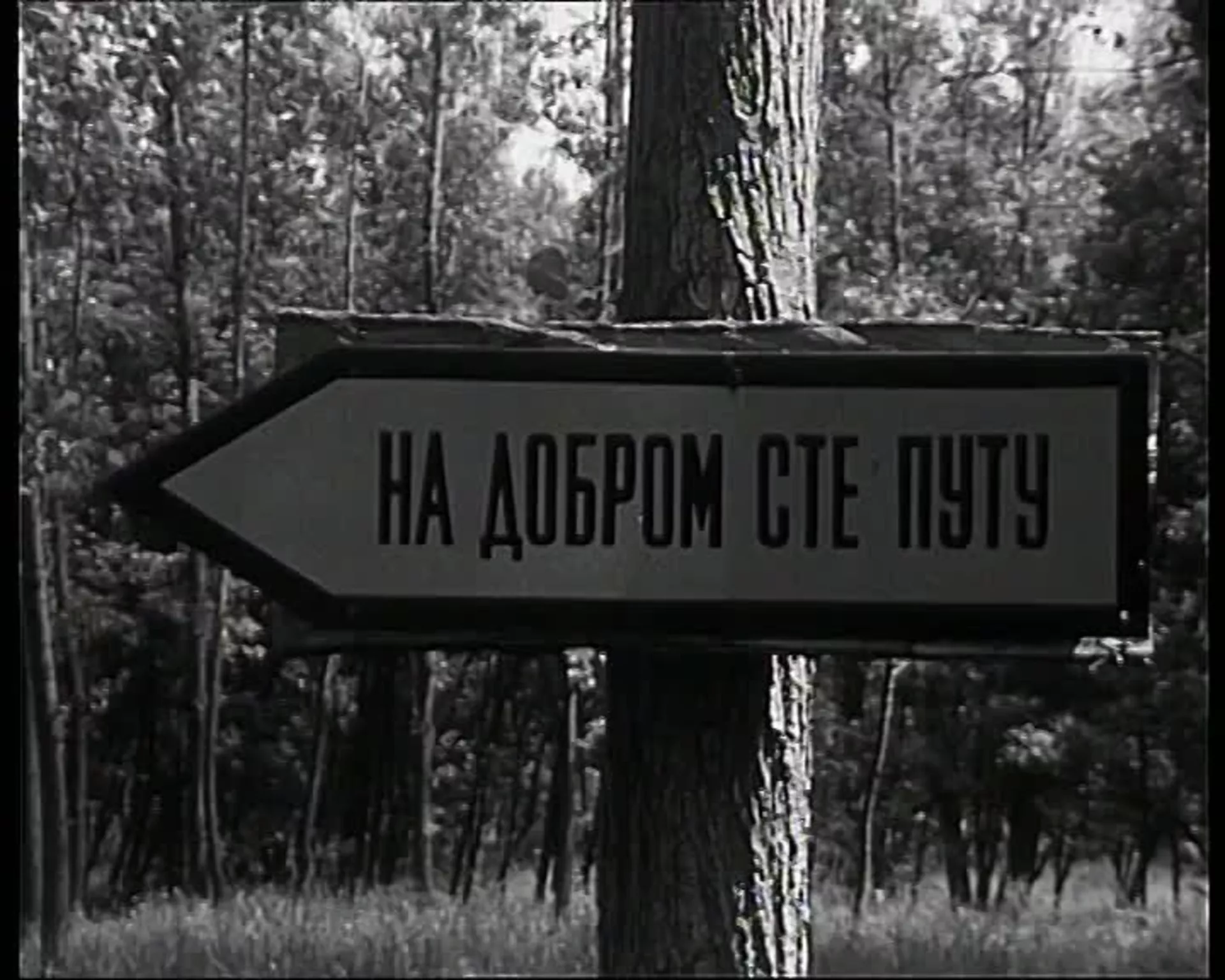 Круг – Физичка немоћ младих