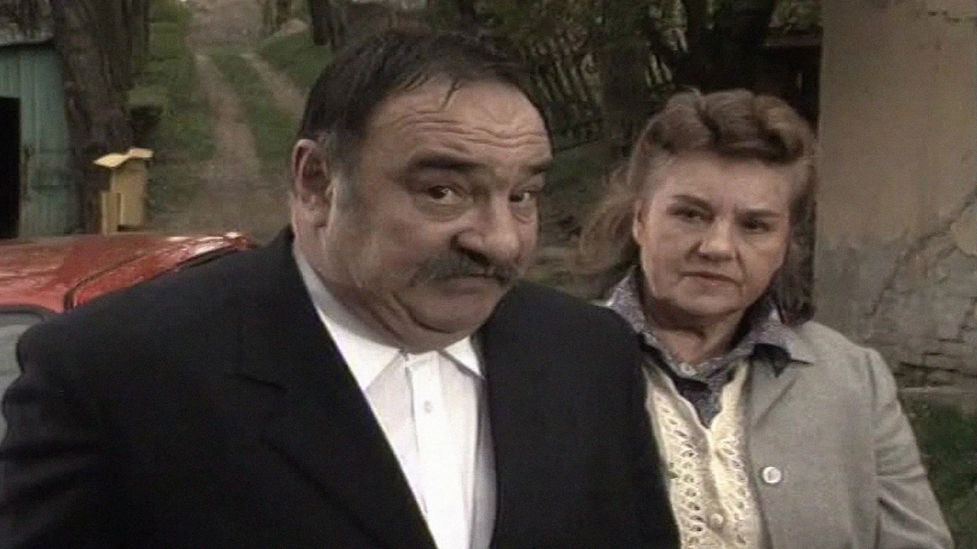 Видео Јела зелен бор (1991)