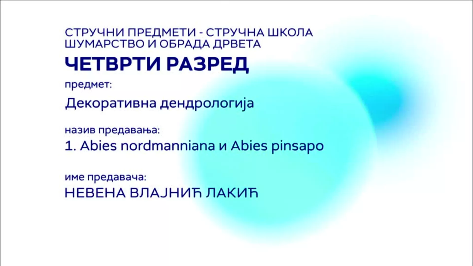 СШ4 – Декоративна дендрологија, 1. час: Abies nordmanniana и Abies pinsapo