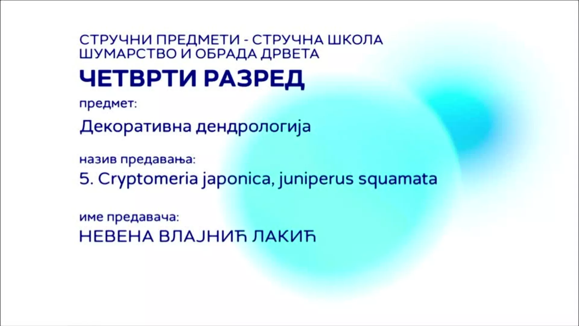 СШ4 – Декоративна дендрологија, 5. час: Cryptomeria japonica, juniperus squamata
