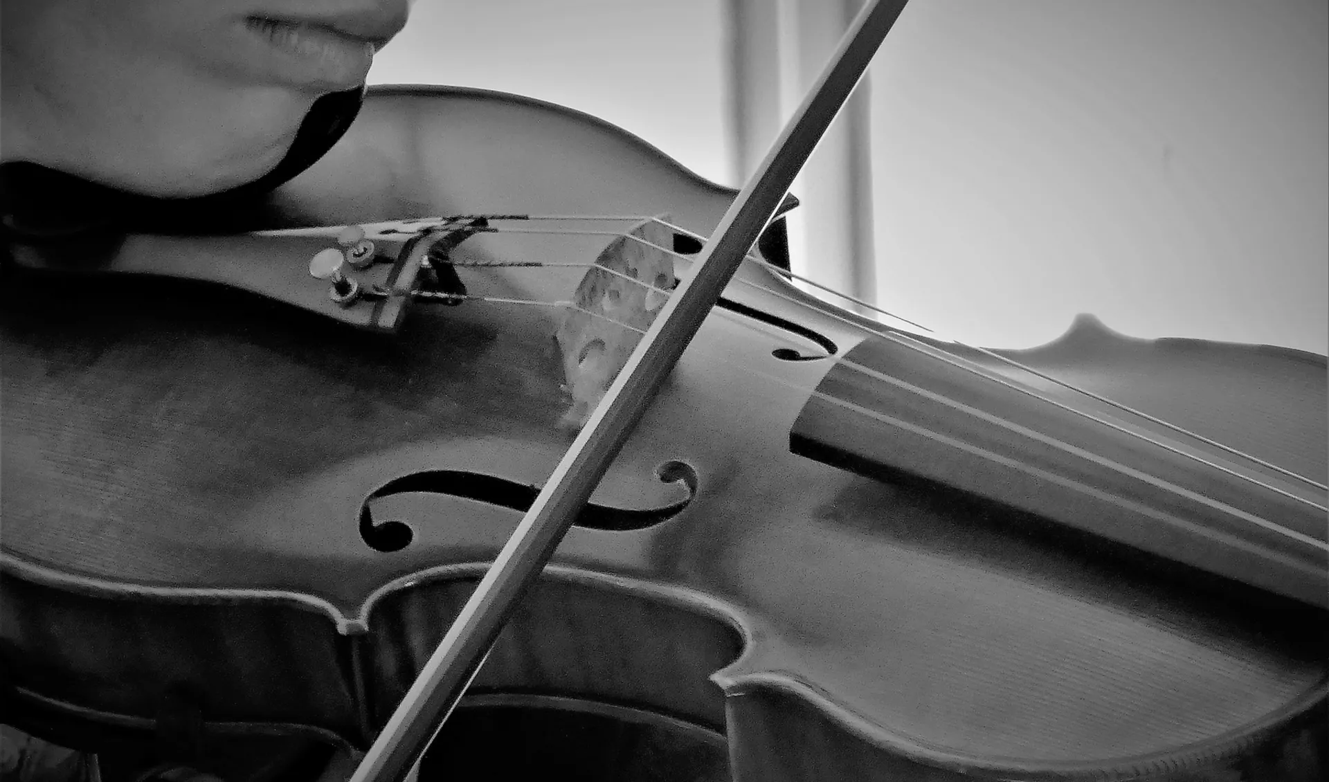 Арс сонора - Догађаји са музичке сцене