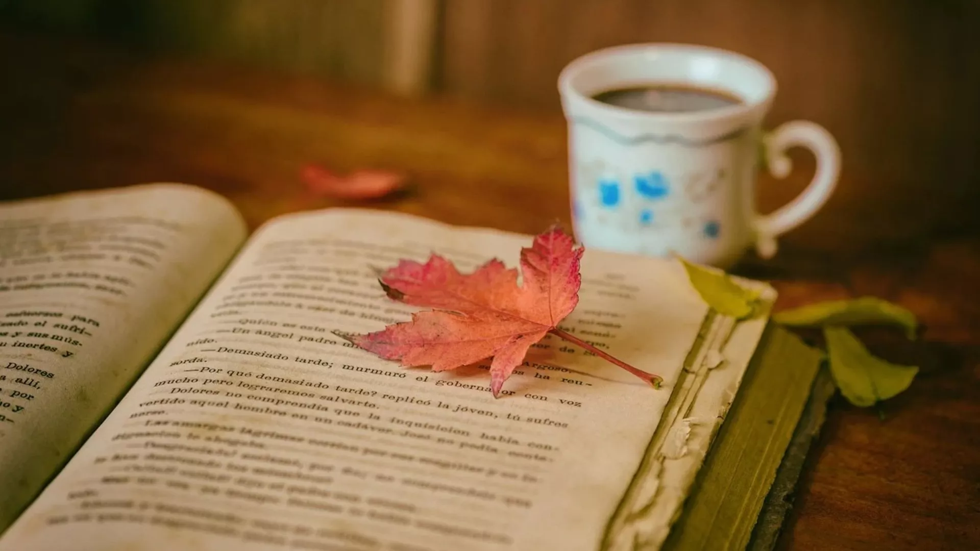 Правац 202 – Речник старог говора Ниша и околине