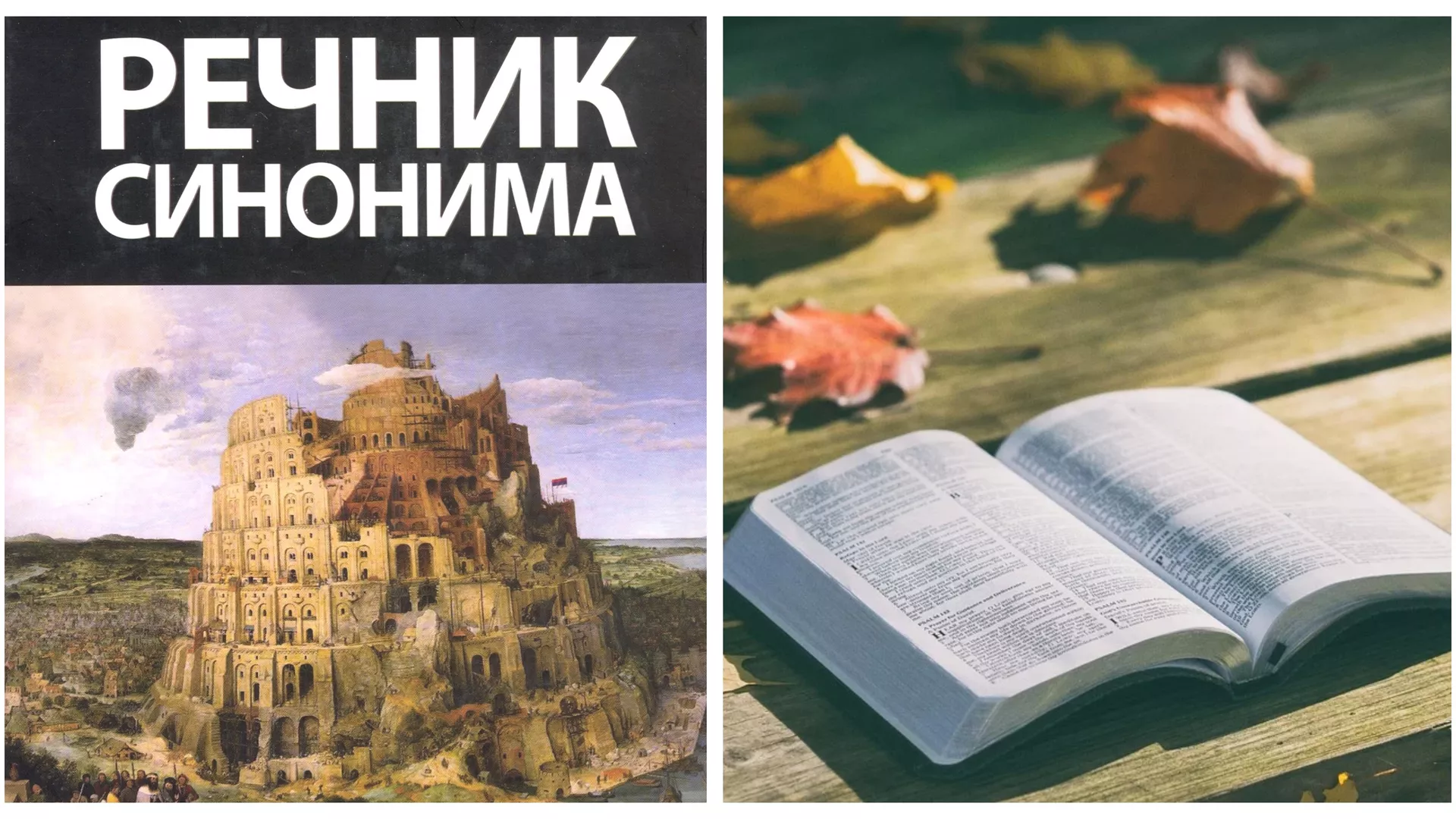 Правац 202 –  Синоними