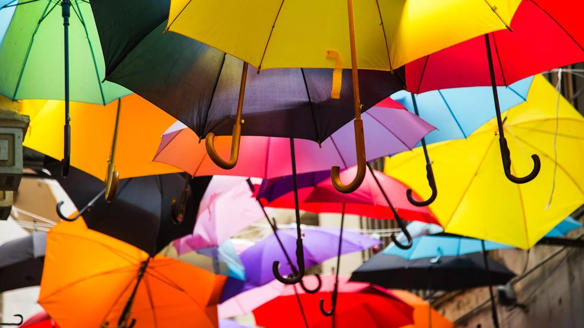 Кућни савет 202 – 14. 2. 2021.