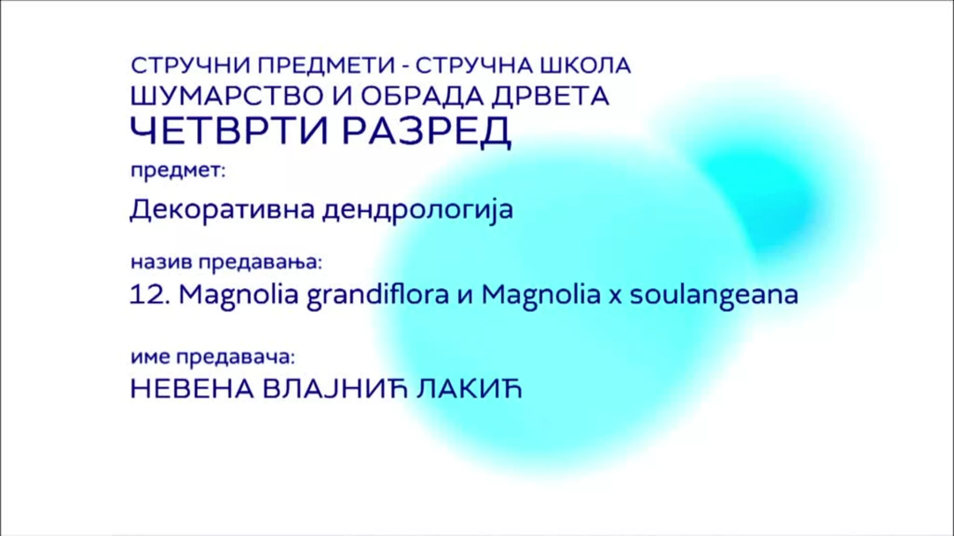 СШ4 – Декоративна дендрологија, 12. час: Magnolia grandiflora и Magnolia x soulangeana