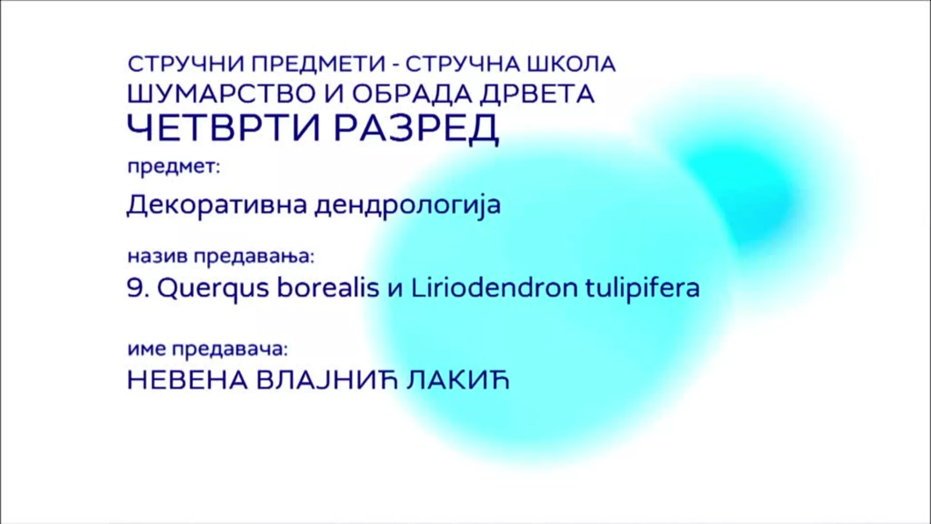 СШ4 – Декоративна дендрологија, 9. час: Querqus borealis и Liriodendron tulipifera