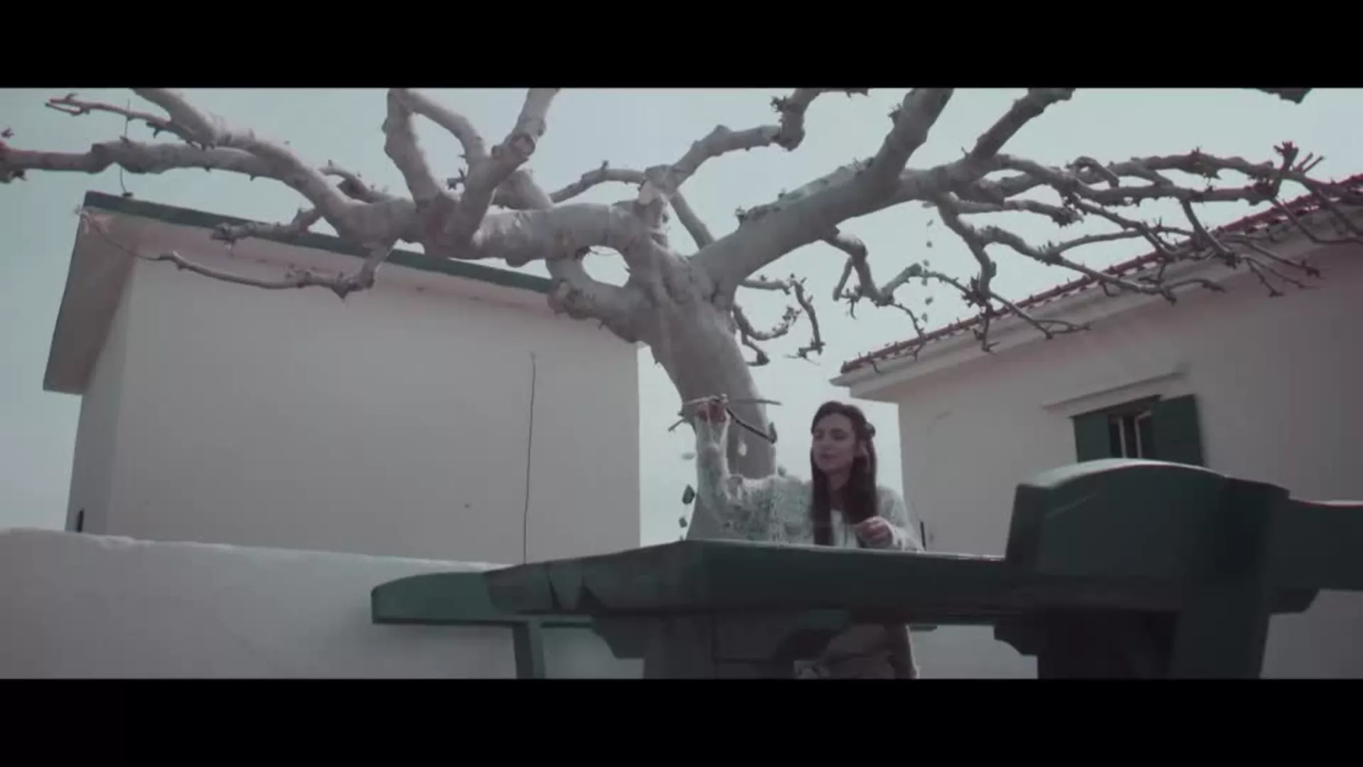 Adria Muzzik Video Awards 2020: Главна улога