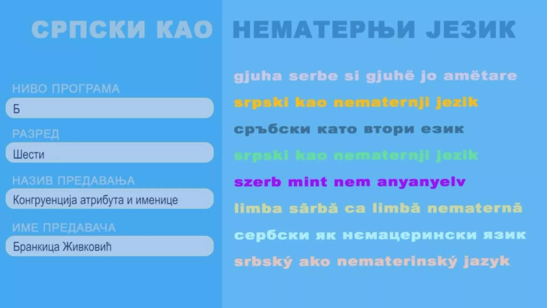 ОШ6 – Српски као нематерњи језик, 2. час: Конгруенција атрибута и именице
