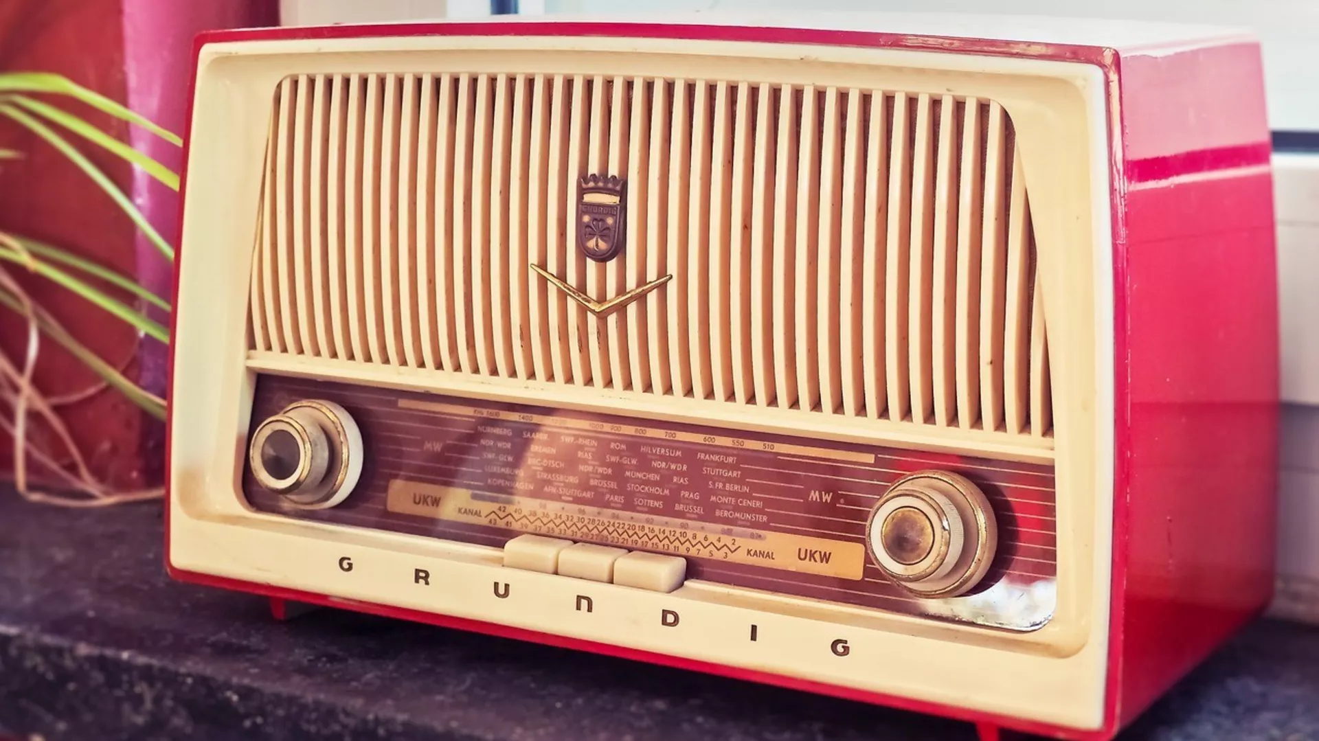 Кућни савет 202 – 11. 4. 2021.