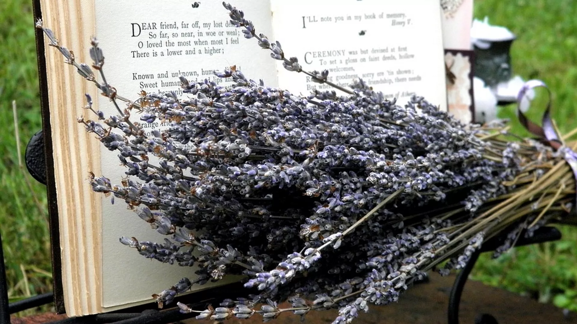 Антологија песника - Владан Ракић, први део