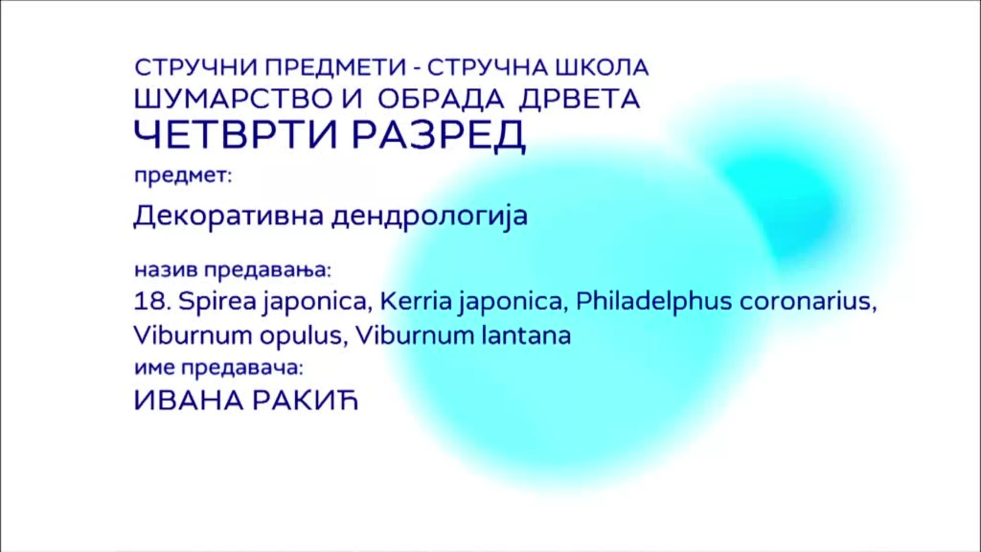 СШ4 – Декоративна дендрологија, 18. час: Spirea japonica, Kerria japonica, Philadelphus coronarius, Viburnum opulus...