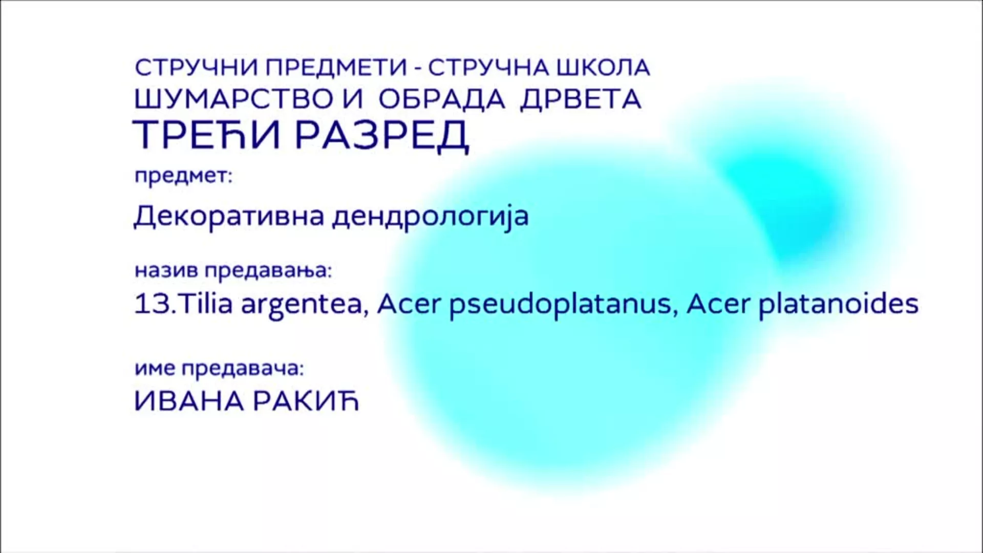 СШ3 – Декоративна дендрологија, 13. час: Tilia argentea, Acer pseudoplatanus, Acer platanoides