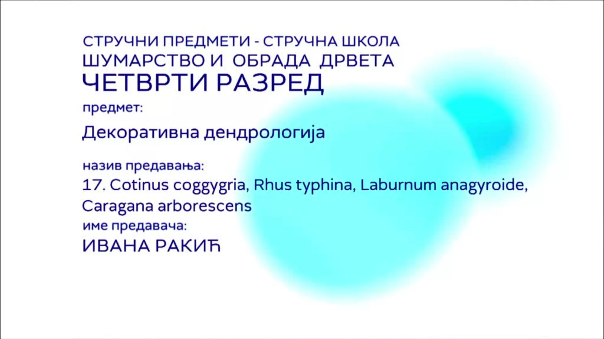 СШ4 – Декоративна дендрологија, 17. час: Cotinus coggygria, Rhus typhina, Laburnum anagyroide, Caragana arborescens