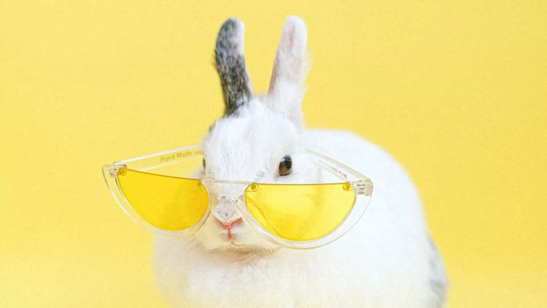 Кућни савет 202 – 16. 5. 2021.